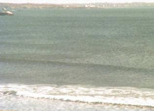 Warm Winds Surf Shop Webcam